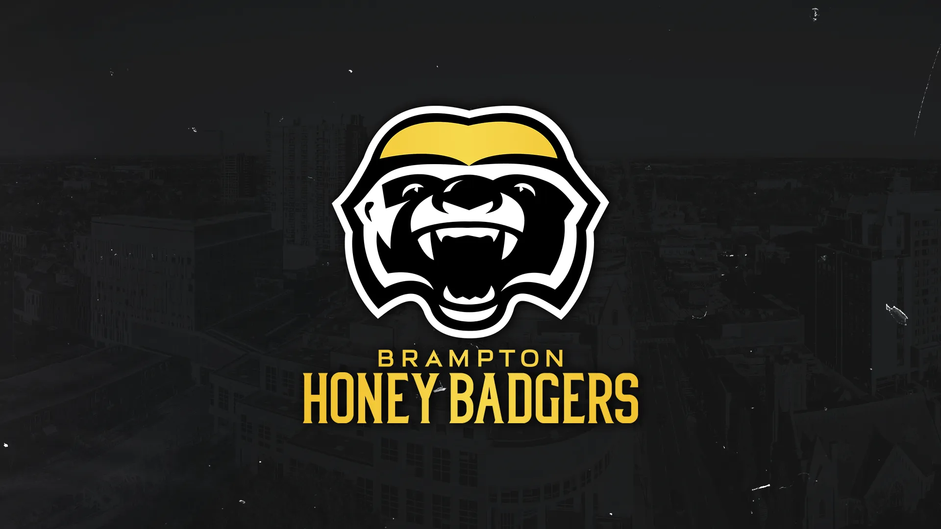 Honey Badgers Logo